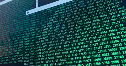 Terminale codice verde